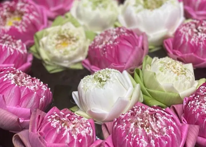 Anou - * Siem Reap